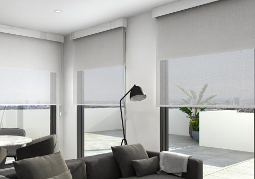 double roller shades